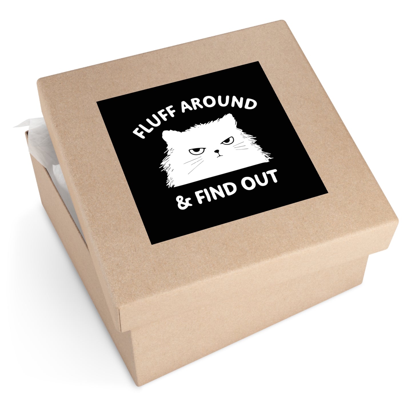 Funny Cat Square Stickers, Fluff Around & Find Out, Gift for Cat Lovers, Laptop Decal, Indoor/Outdoor Stickers, Pet Humor, Fun Decor